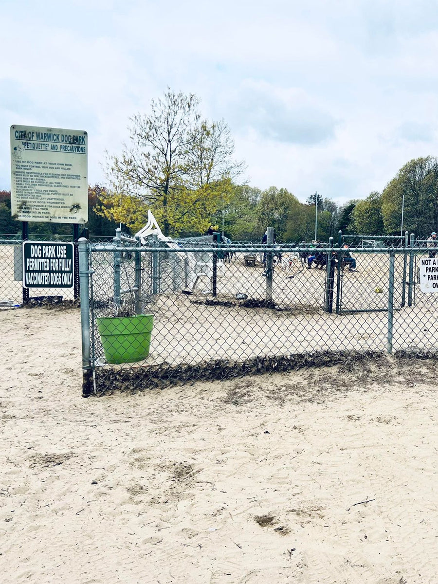 The Dangers of Dog Parks: A Guide to Keeping Your Pup Safe
